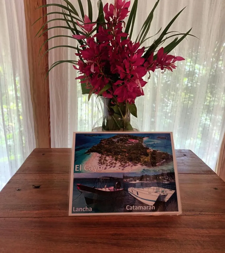 Samo Eco Lodge Las Terrenas Bed & Breakfast