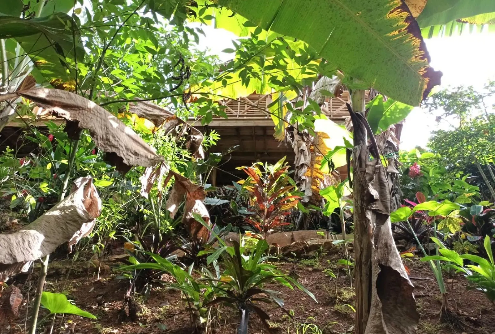 Samo Eco Lodge Las Terrenas