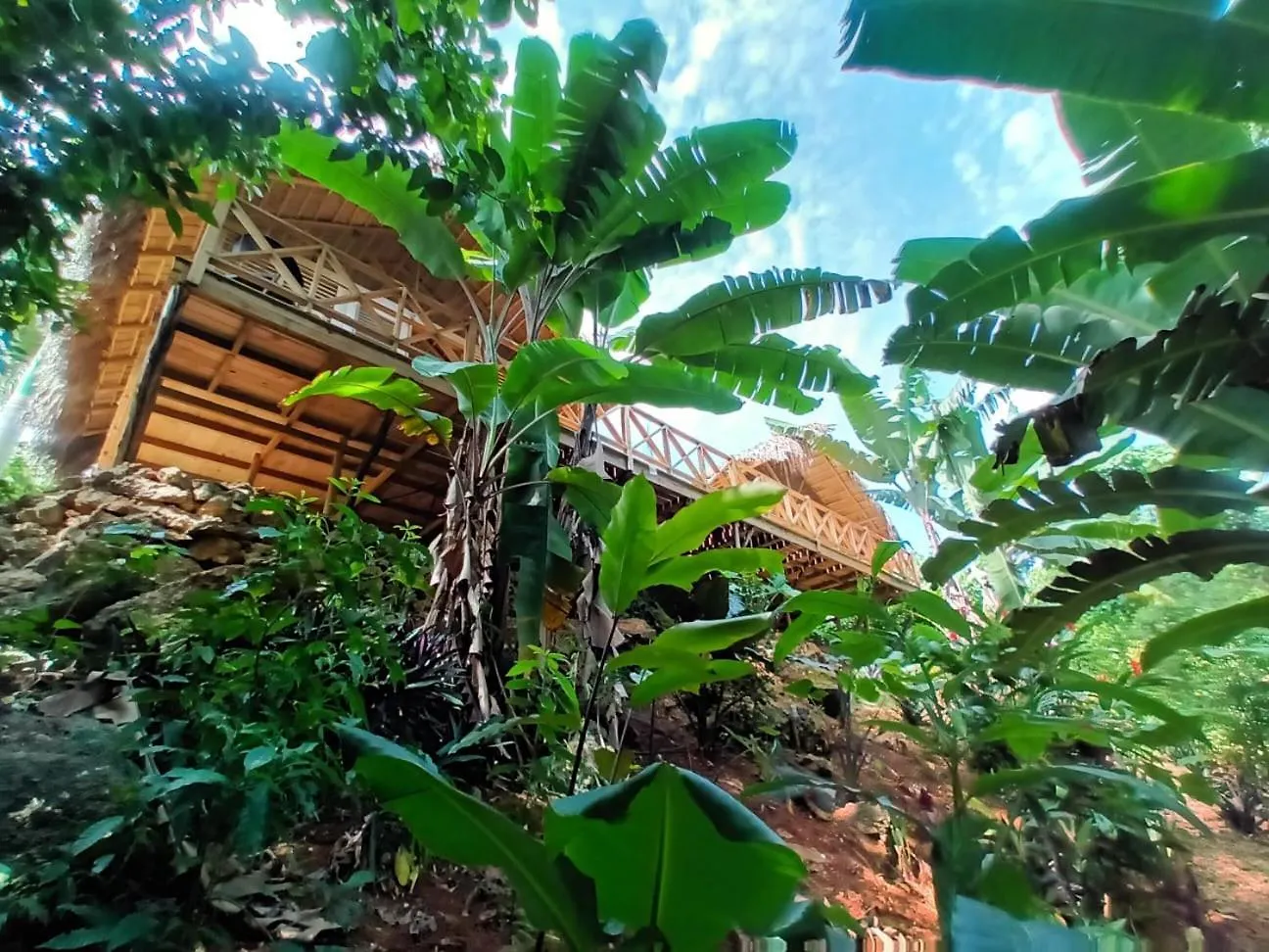 Samo Eco Lodge Las Terrenas