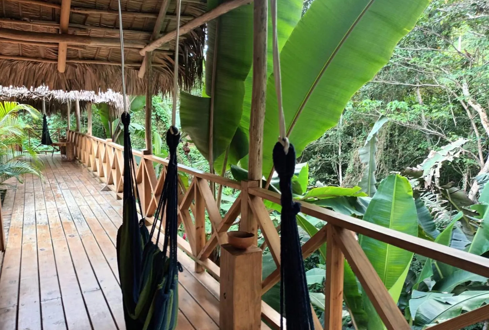 Bed & Breakfast Samo Eco Lodge Las Terrenas Dominican Republic